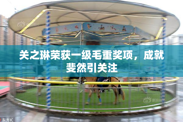 关之琳荣获一级毛重奖项，成就斐然引关注