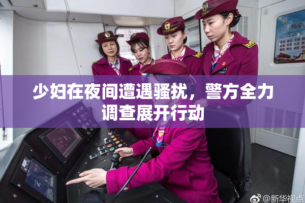 少妇在夜间遭遇骚扰，警方全力调查展开行动