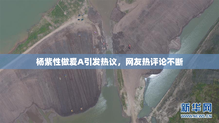 杨紫性做爰A引发热议，网友热评论不断