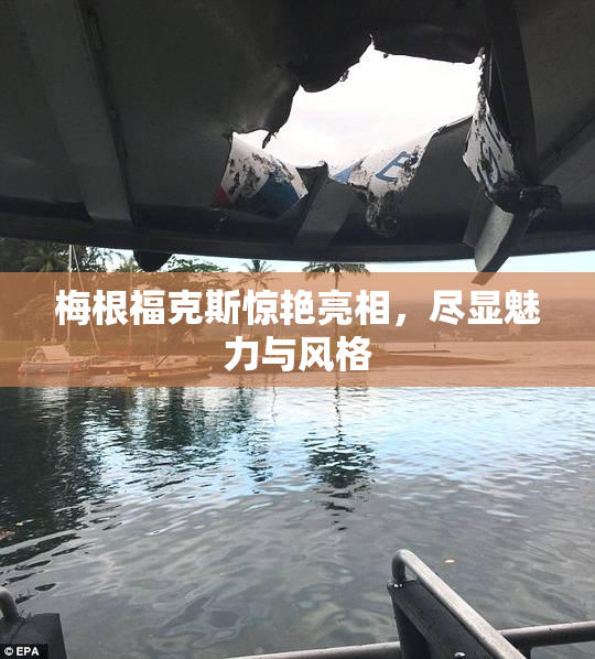 梅根福克斯惊艳亮相，尽显魅力与风格