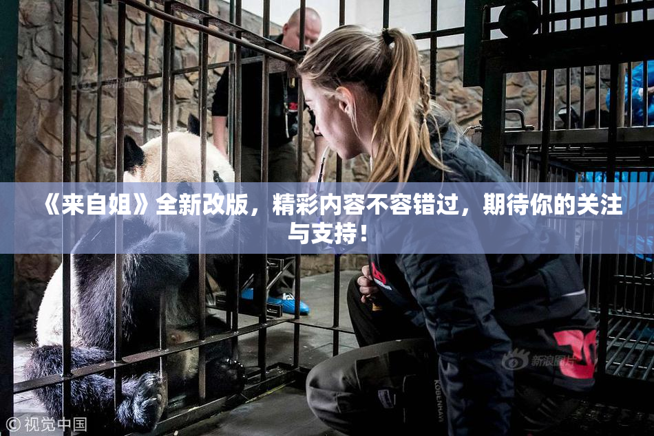 《来自姐》全新改版，精彩内容不容错过，期待你的关注与支持！