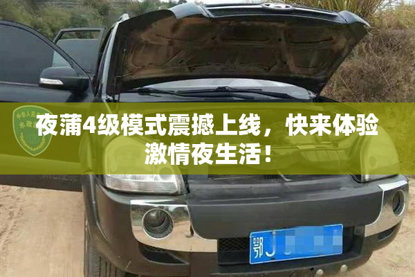 夜蒲4级模式震撼上线，快来体验激情夜生活！