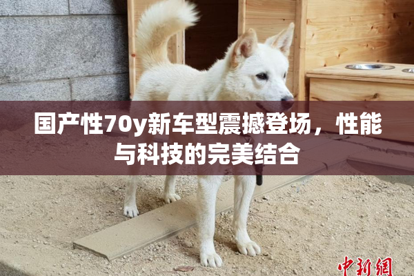 国产性70y新车型震撼登场，性能与科技的完美结合
