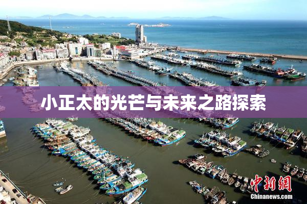 小正太的光芒与未来之路探索