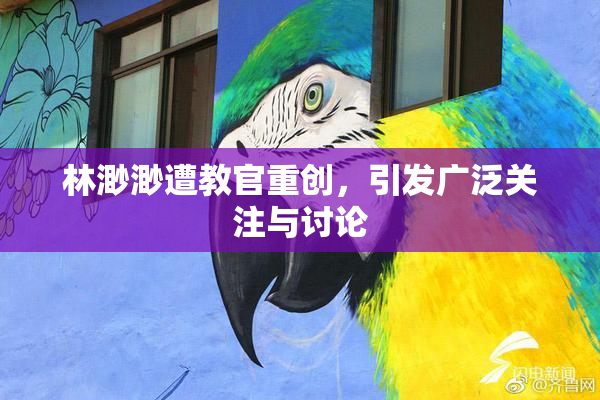 林渺渺遭教官重创，引发广泛关注与讨论