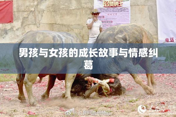 男孩与女孩的成长故事与情感纠葛
