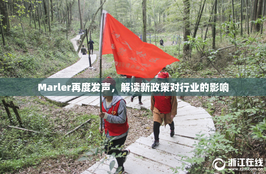 Marler再度发声，解读新政策对行业的影响