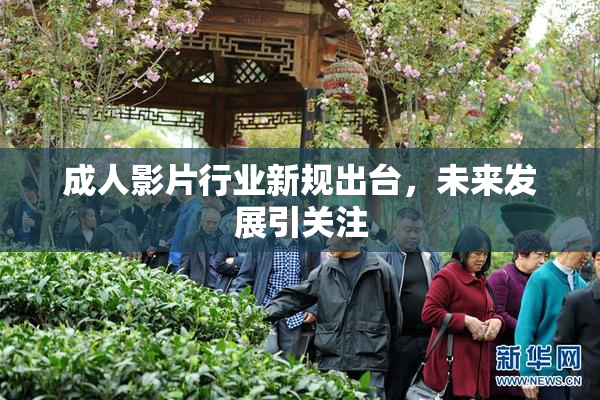 成人影片行业新规出台，未来发展引关注