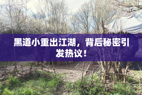 黑道小重出江湖，背后秘密引发热议！