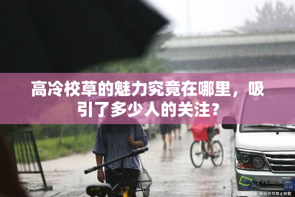 高冷校草的魅力究竟在哪里，吸引了多少人的关注？