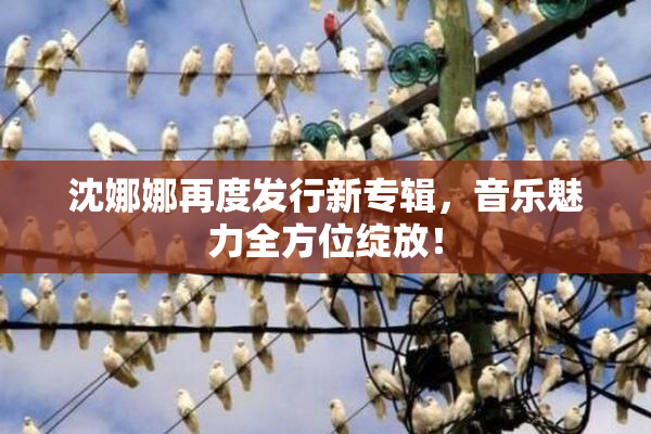 沈娜娜再度发行新专辑，音乐魅力全方位绽放！
