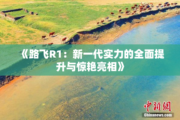 《路飞R1：新一代实力的全面提升与惊艳亮相》