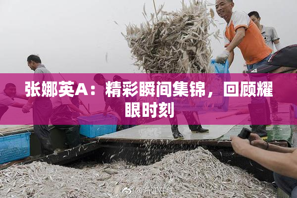 张娜英A：精彩瞬间集锦，回顾耀眼时刻