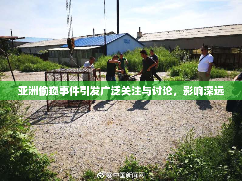 亚洲偷窥事件引发广泛关注与讨论，影响深远