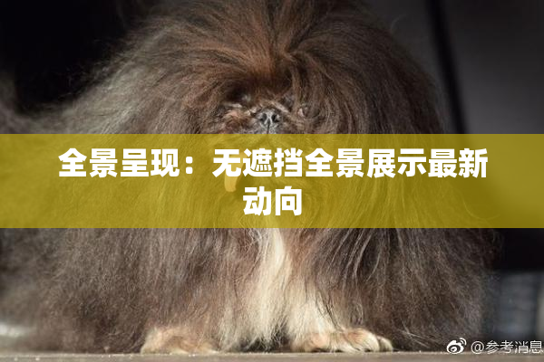 全景呈现：无遮挡全景展示最新动向