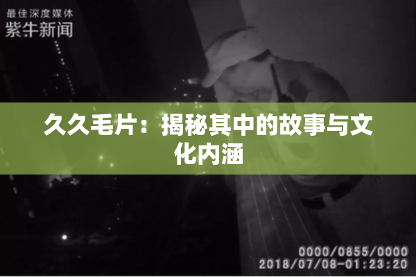 久久毛片：揭秘其中的故事与文化内涵