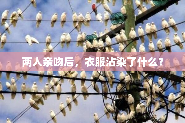 两人亲吻后，衣服沾染了什么？