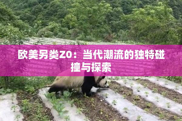 欧美另类Z0：当代潮流的独特碰撞与探索