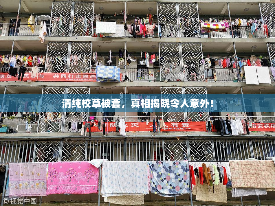 清纯校草被套，真相揭晓令人意外！