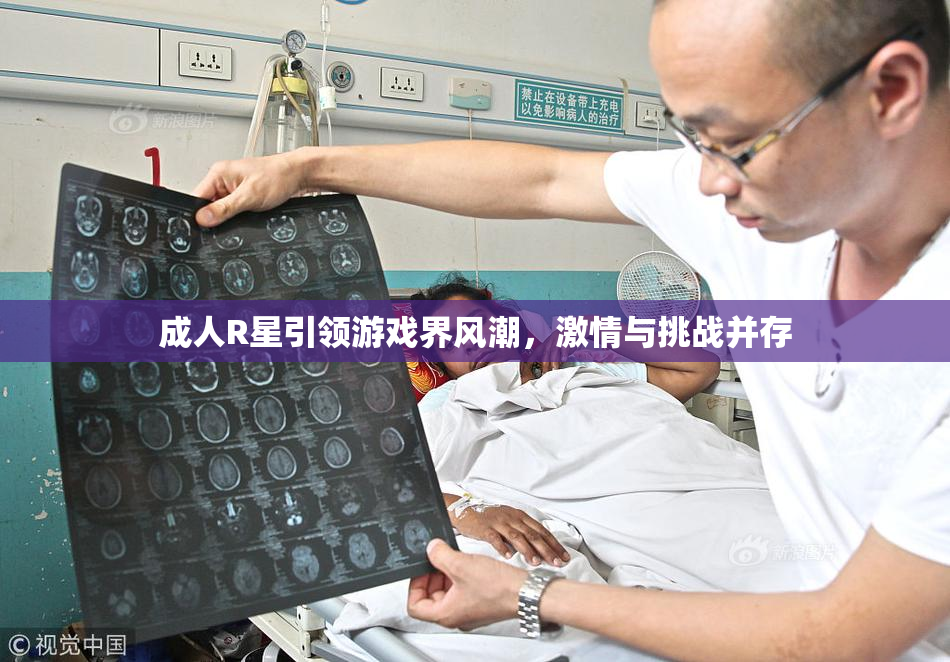 成人R星引领游戏界风潮，激情与挑战并存