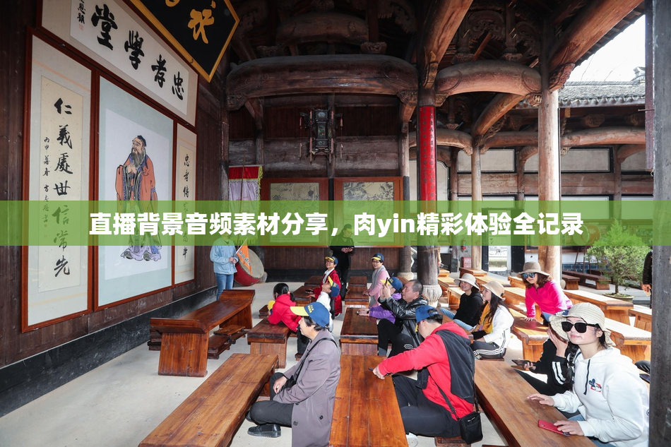 直播背景音频素材分享，肉yin精彩体验全记录