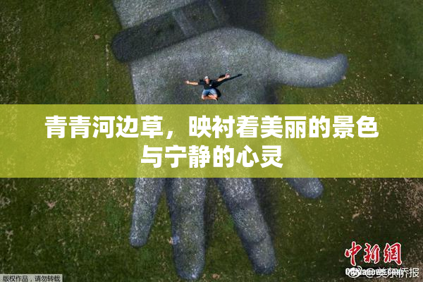青青河边草，映衬着美丽的景色与宁静的心灵