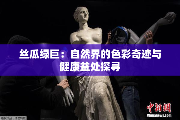 丝瓜绿巨：自然界的色彩奇迹与健康益处探寻
