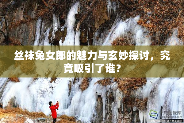 丝袜兔女郎的魅力与玄妙探讨，究竟吸引了谁？