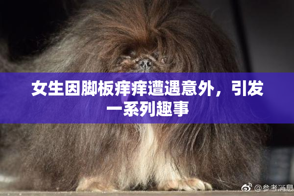 女生因脚板痒痒遭遇意外，引发一系列趣事