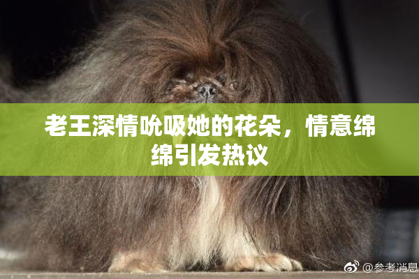 老王深情吮吸她的花朵，情意绵绵引发热议