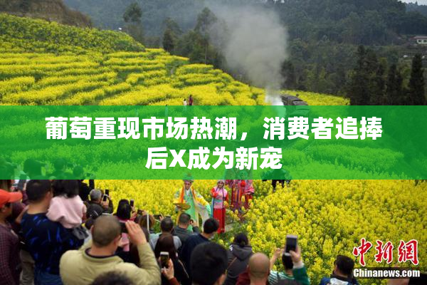 葡萄重现市场热潮，消费者追捧后X成为新宠