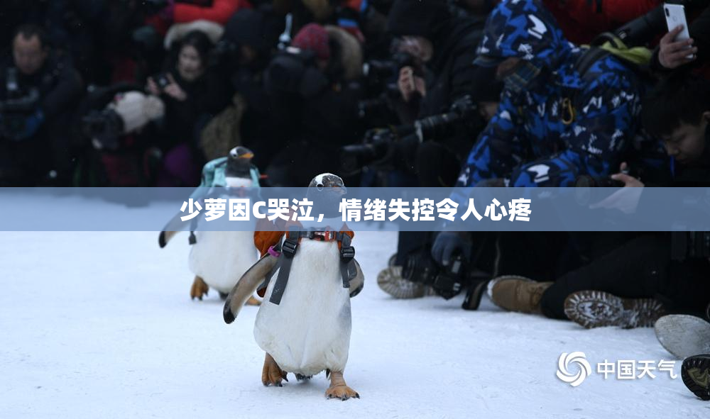 少萝因C哭泣，情绪失控令人心疼