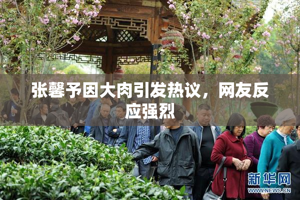 张馨予因大肉引发热议，网友反应强烈