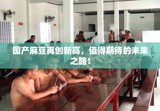 国产麻豆再创新高，值得期待的未来之路！