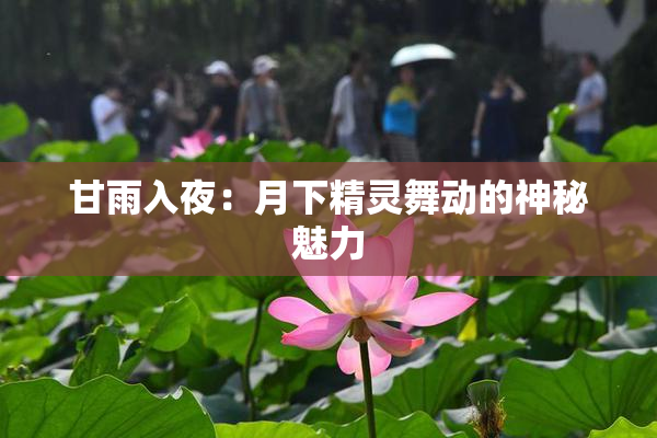 甘雨入夜：月下精灵舞动的神秘魅力