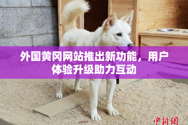 外国黄冈网站推出新功能，用户体验升级助力互动