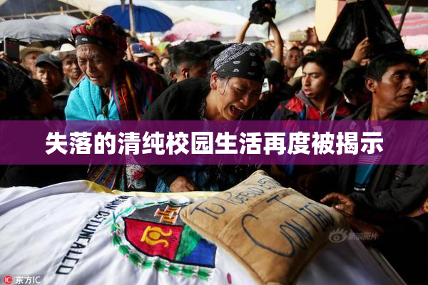 失落的清纯校园生活再度被揭示