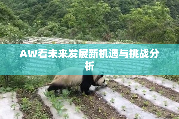 AW看未来发展新机遇与挑战分析