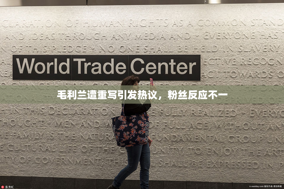 毛利兰遭重写引发热议，粉丝反应不一