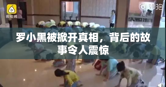 罗小黑被掀开真相，背后的故事令人震惊