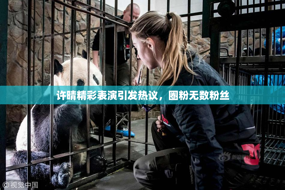 许晴精彩表演引发热议，圈粉无数粉丝