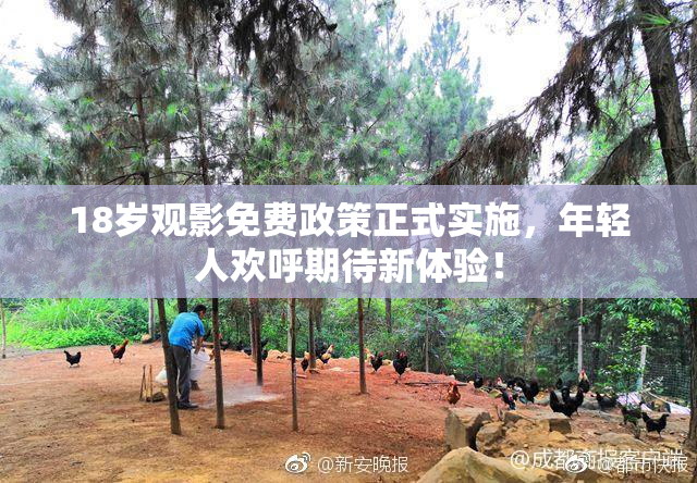 18岁观影免费政策正式实施，年轻人欢呼期待新体验！