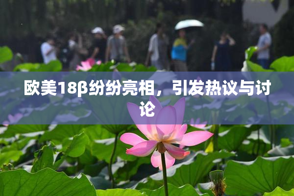 欧美18β纷纷亮相，引发热议与讨论