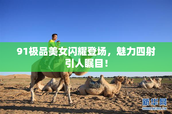 91极品美女闪耀登场，魅力四射引人瞩目！