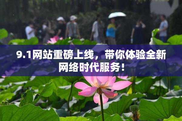 9.1网站重磅上线，带你体验全新网络时代服务！