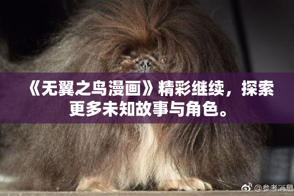 《无翼之鸟漫画》精彩继续，探索更多未知故事与角色。