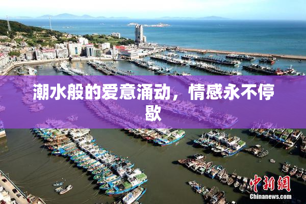 潮水般的爱意涌动，情感永不停歇