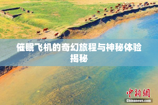 催眠飞机的奇幻旅程与神秘体验揭秘