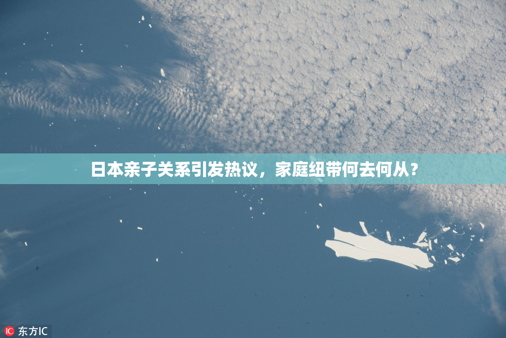 日本亲子关系引发热议，家庭纽带何去何从？