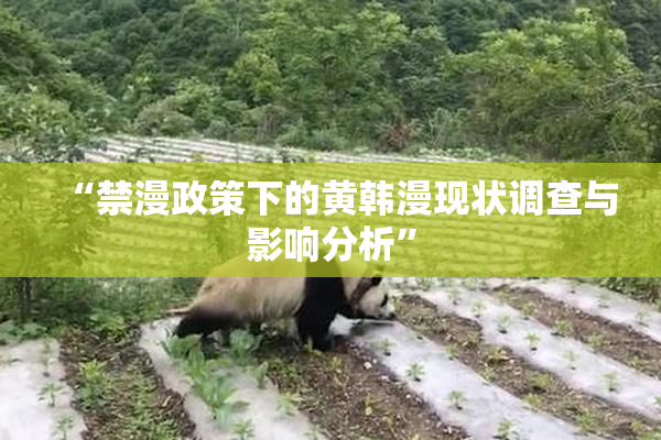 “禁漫政策下的黄韩漫现状调查与影响分析”